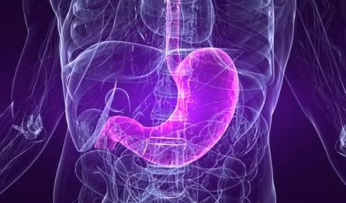 Dạ dày và ruột. Cơ quan chịu trách nhiệm xử lý thực phẩm chuyển vào cơ thể. Loại thực phẩm quan trọng nhất với cơ quan này là chất xơ vì thế mà bạn nên bổ sung tối thiểu 20g chất xơ mỗi ngày.