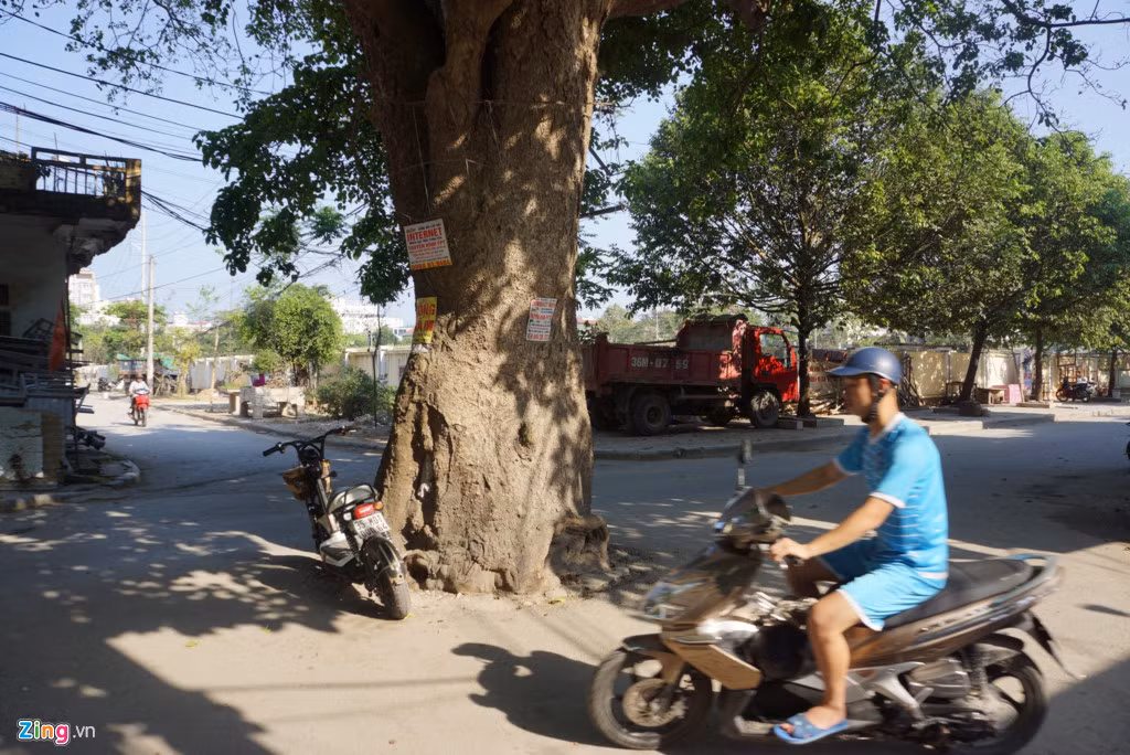 Người dân giảm tốc độ để quan sát, đi chậm rãi khi qua "vòng xuyến" này. Ảnh: Zingnews.