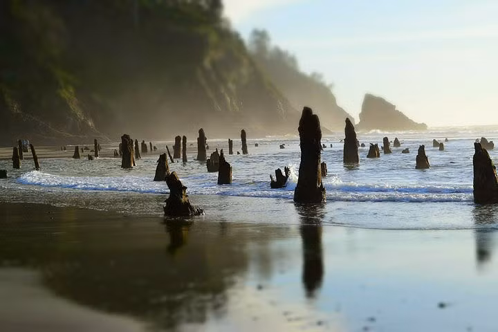 Thời điểm tốt nhất để du khách có thể chiêm ngưỡng cảnh tượng siêu thực này là khi thủy triều thấp nhất trong năm, khoảng từ tháng 1 đến tháng 3 hàng năm. Ảnh Rebrn
