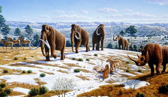  2. Một số sinh vật đến từ đâu?: Nhiều loài không có tổ tiên. Không ai biết chính xác loài lưỡng cư phát triển từ cá khi nào vì động vật trên cạn đầu tiên có chân tay và đầu phát triển tốt. Người ta cũng cho rằng những con khủng long đã tuyệt chủng sau một vụ thảm sát tự nhiên cách đây 65 triệu năm. Đồng thời, các loài động vật có vú xuất hiện từ hư không. Đây là một trong những bí ẩn về thế giới và con người khiến giới khoa học bó tay.