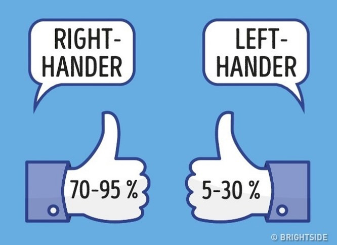 7. Tại sao có người thuận tay phải và có người thuận tay trái?: Hầu hết mọi người (70% đến 95%) là thuận tay phải và một thiểu số (5% đến 30%) là thuận tay trái. Một số khác lại thuận cả hai tay. Các gen có ảnh hưởng đến hiện tượng này, nhưng gen "thuận tay trái" không được xác định. Môi trường xã hội cũng là một ảnh hưởng, chẳng hạn như một đứa trẻ thuận tay trái được rèn để viết bằng tay phải, sau này sẽ trở thành người thuận tay phải hơn.