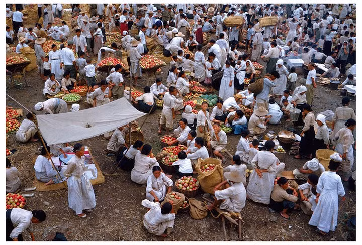 Một chợ bán táo ở Deagu năm 1952.