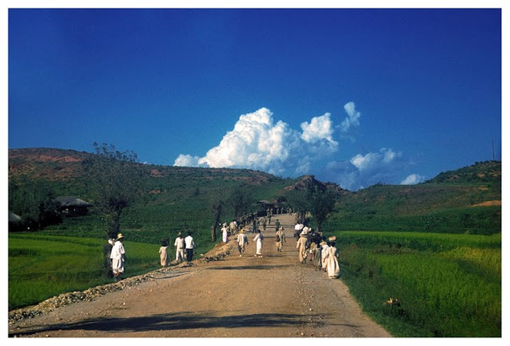Cuộc sống thường ngày của người dân Hàn Quốc đầu những năm 1950.