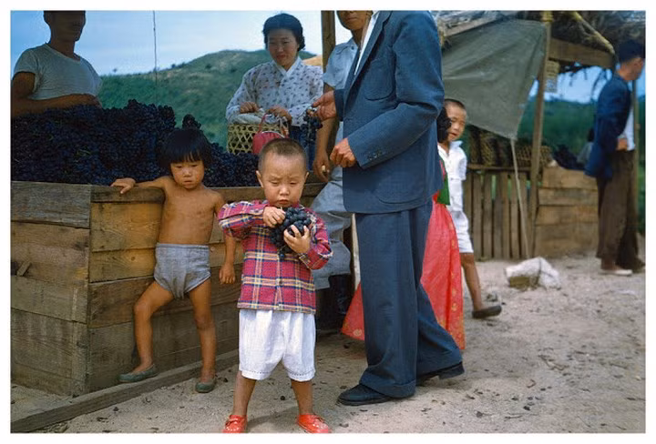 Đứa trẻ háo hức với chùm nho trên tay năm 1953.