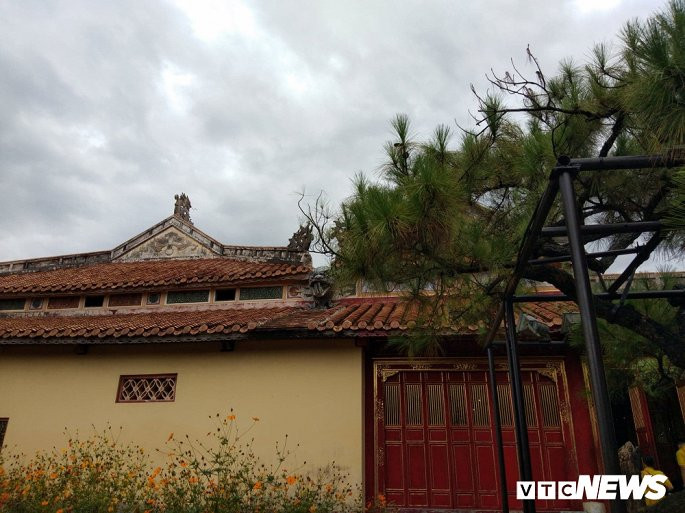 Nói về hình dáng kỳ lạ của cây thông, TS. Phan Thanh Hải phỏng đoán, do được trồng ở Thế Tổ Miếu - nơi được xây dựng để thờ các vị vua Nguyễn nên có thể vua Minh Mạng đã chọn cây thông có dáng kỳ dị ngay từ đầu để trồng nhưng cũng có thể tự tay hoặc sai người uốn cây sao cho ra dáng hình con rồng đang uốn mình bay lên trời xanh vì rồng cũng là biểu tượng của nhà vua.