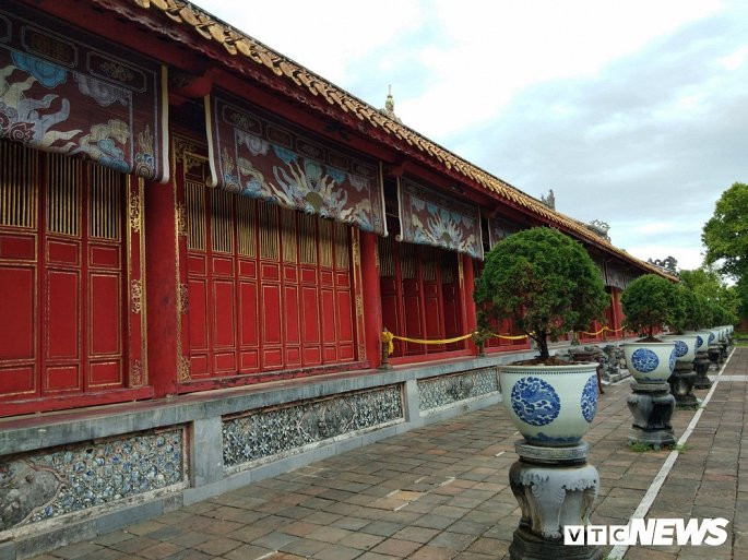 Du khách mỗi lần đến tham quan di tích Thế Tổ Miếu nằm trong Đại Nội Huế (Hoàng Thành triều Nguyễn) đều không khỏi ngạc nhiên khi thấy một cây thông cổ thụ có hình dáng rất kỳ dị, khác với quy luật thông thường.