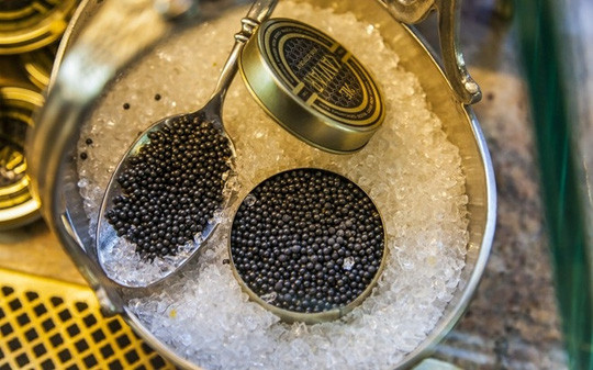 Trứng cá muối Caviar từ lâu đã được ví như những "viên ngọc trai đen" của biển cả. Ảnh: nld.