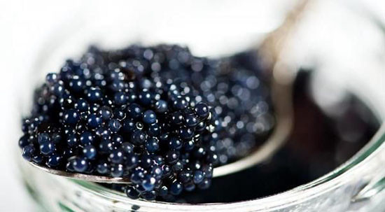 Caviar là trứng cá muối được làm từ trứng chưa thụ tinh của loài cá tầm. Cá tầm được đánh bắt ở những khu vực khác nhau trên thế giới thì sẽ cho ra những hương vị Caviar khác nhau. Ảnh: hieuhaisan.