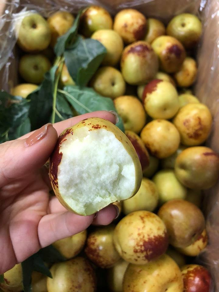  Hồng táo Trung Quốc được nhập về Việt Nam tiêu thụ chủ yếu có dáng quả thuôn dài, vỏ có màu thâm xỉn nhưng thịt lại giòn ngọt. Ảnh: hoaquauudam.