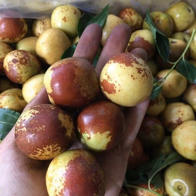 Ngoài việc chứa các chất dinh dưỡng thông thường, hồng táo còn chứa nhiều chất xơ, thúc đẩy nhu động ruột, ngăn ngừa táo bón. Ảnh: lozi.