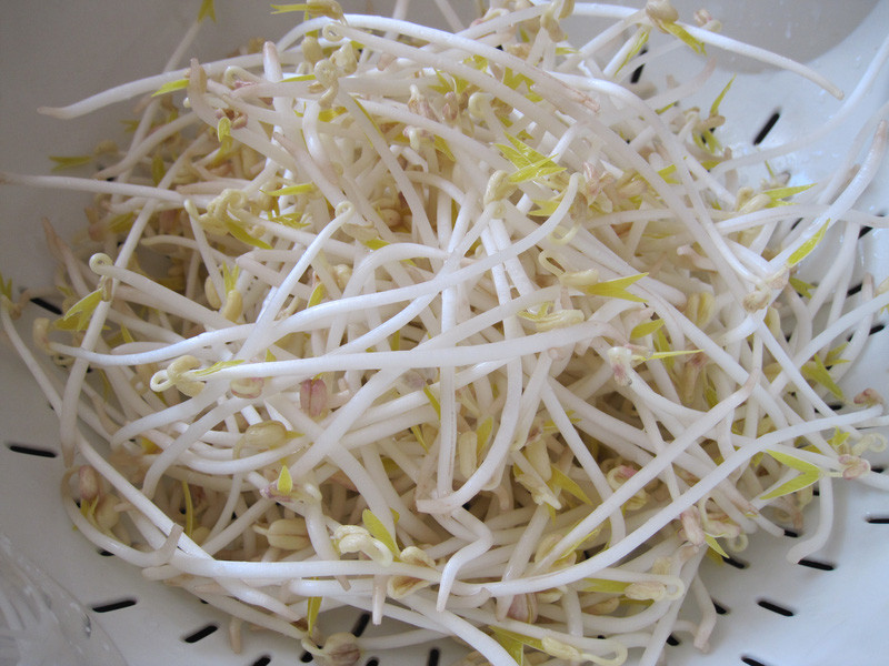 Giá đỗ mặc dù ăn mát và có nhiều dinh dưỡng nhưng bạn không nên cho vào làm rau ăn lẩu. Ảnh: mediacdn.