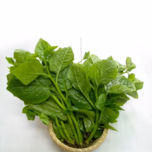 Khi bạn ăn lẩu bò, bạn tuyệt đối không cho rau mồng tơi vào nhúng cùng bởi nếu ăn chung sẽ gây đau bụng, khiến bụng đầy hơi khó tiêu, thậm chí táo bón. Ảnh: rausachlaclam.