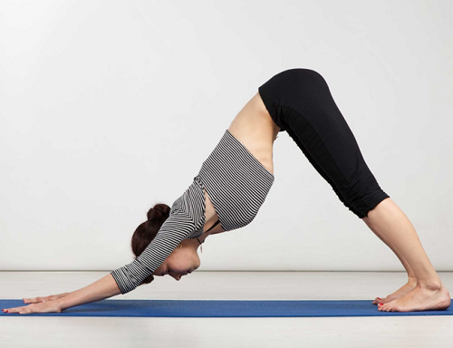 Tư thế chó cúi đầu: Để thực hiện động tác yoga này, trước hết bạn cần tạo tư thế Plank hai tay và chân chống xuống đất, hai tay rộng bằng vai và hai chân hơi rộng hơn hông. Ảnh: 247stores.