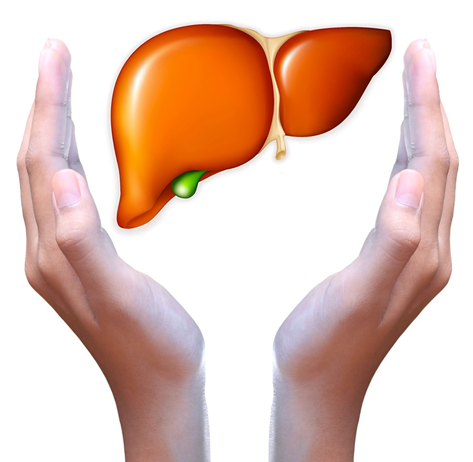 Viêm gan B và viêm gan C nếu không được chữa trị sẽ tạo cơ hội cho xơ gan phát triển mạnh mẽ. Ảnh: phunuhiendai.