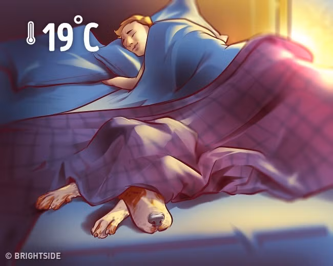 Nghiên cứu cho biết giấc ngủ với nhiệt độ 19°C giúp cơ thể bạn đốt chất béo để duy trì nhiệt độ ấm. Vì vậy, hãy điều chỉnh nhiệt độ trong phòng ngủ không nên cao quá.