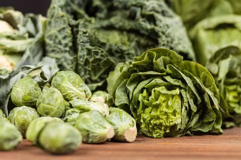 Trong đó, các loại rau lá xanh chứa nhiều vitamin K và magie - khoáng chất giúp ngăn ngừa gãy xương. Ảnh: fromthegrapevine.