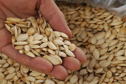 Với hàng loạt chất dinh dưỡng như chất béo lành mạnh, sắt, magiê và kẽm, hạt bí chính là thực phẩm hàng đầu đảm bảo xương của bạn luôn khỏe mạnh. Ảnh: maysaymactech.