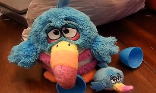 Bat ngo y nghia may man cua loai chim cu an dem