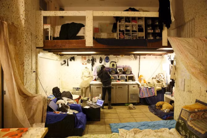 Cô gái 28 tuổi đang chăm sóc cho những chú dơi bị thương.