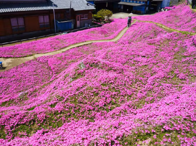 Vợ chồng cụ Kuroki sống những tháng ngày hạnh phúc cùng hai người con.