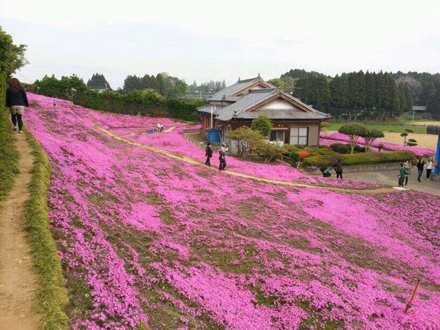 Từ đó, cụ bà buồn rầu và thu mình trong nhà.
