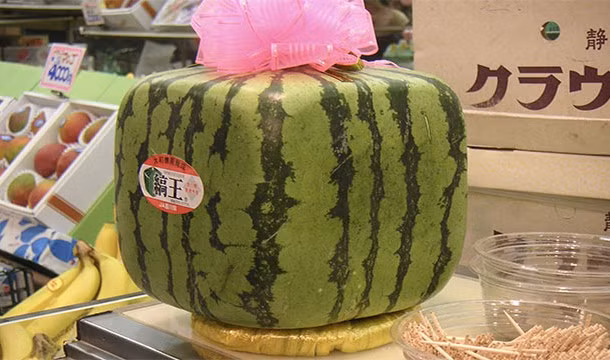 12 ly do khien Nhat Ban dac biet nhat the gioi-Hinh-3