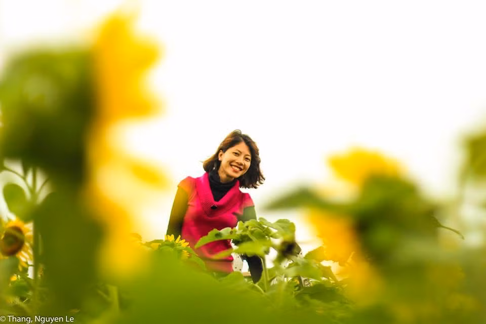 Để đến được cánh đồng hoa hướng dương các bạn trẻ có thể đi theo đường Hồ Chí Minh đến địa phận huyện Nghĩa Đàn, Nghệ An sẽ gặp cửa hàng TH True Mart và biển chỉ dẫn đến trang trại TH. Bạn có thể hỏi người dân địa phương hoặc xem sơ đồ chỉ dẫn trên Fanpage để tìm đường đến cánh đồng.