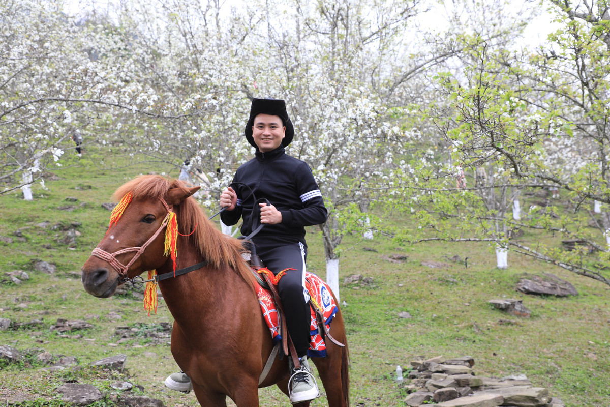 Du khách thích thú với trải nghiệm cưỡi ngựa tại tuyến đường hoa lê dài nhất Việt Nam.