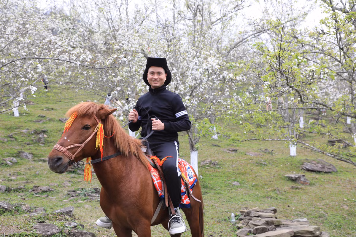 Du khách thích thú với trải nghiệm cưỡi ngựa tại tuyến đường hoa lê dài nhất Việt Nam.