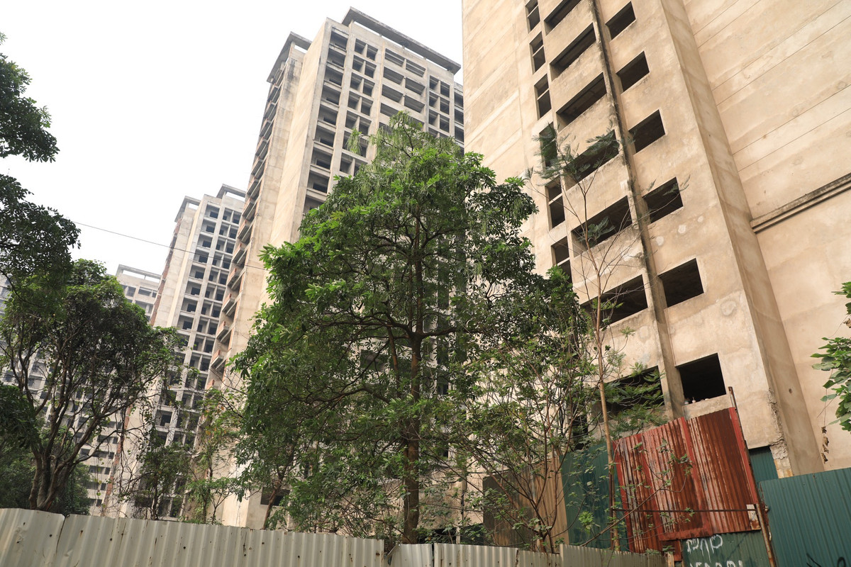 Nghe tin dự án ký túc xá nghìn tỷ bỏ hoang sắp được Hà Nội rót hàng trăm tỷ để chuyển đổi thành nhà ở xã hội cho thuê, nhiều người hy vọng khu nhà dang dở, bỏ hoang này sẽ mau được "hồi sinh".