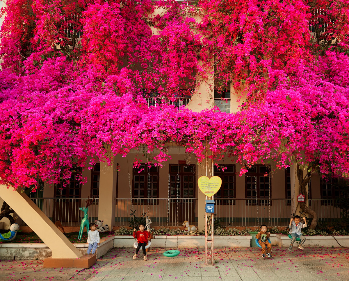 Các bạn nhỏ Trường Mầm non Lò Văn Giá ngồi xích đu, vui đùa dưới bóng mát của những giàn hoa giấy.