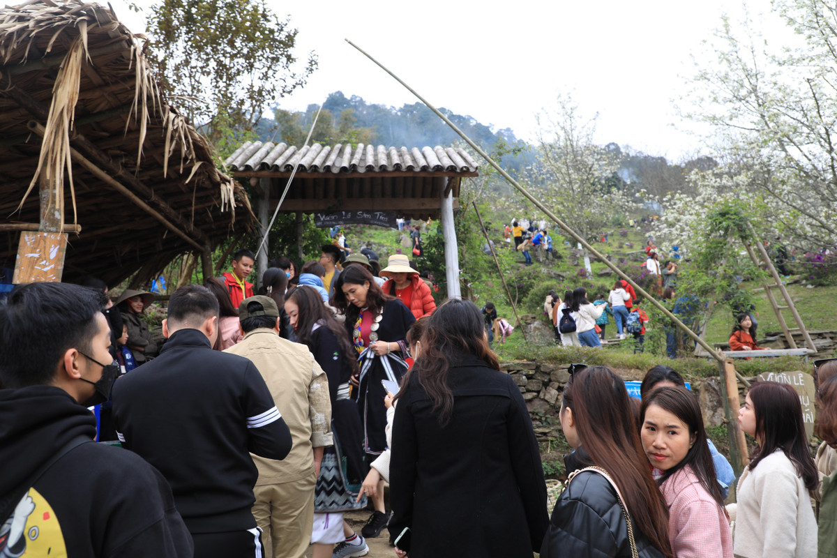 Do UBND huyện Na Hang đang tổ chức Lễ hội “Hương Sắc Na Hang” năm 2023 (diễn ra từ ngày mùng 3 đến hết ngày 5/3) nên dịp này đã thu hút hàng nghìn du khách trong và ngoài nước. Ghi nhận chiều 4/3, rất đông du khách từ khắp các tỉnh thành đã tới vườn lê trắng ở xã Hồng Thái để thưởng ngoạn.