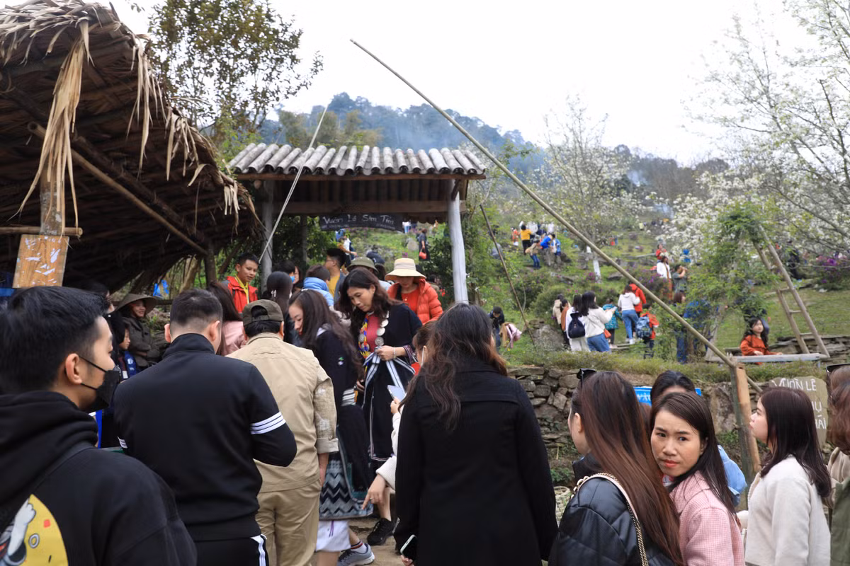 Do UBND huyện Na Hang đang tổ chức Lễ hội “Hương Sắc Na Hang” năm 2023 (diễn ra từ ngày mùng 3 đến hết ngày 5/3) nên dịp này đã thu hút hàng nghìn du khách trong và ngoài nước. Ghi nhận chiều 4/3, rất đông du khách từ khắp các tỉnh thành đã tới vườn lê trắng ở xã Hồng Thái để thưởng ngoạn.