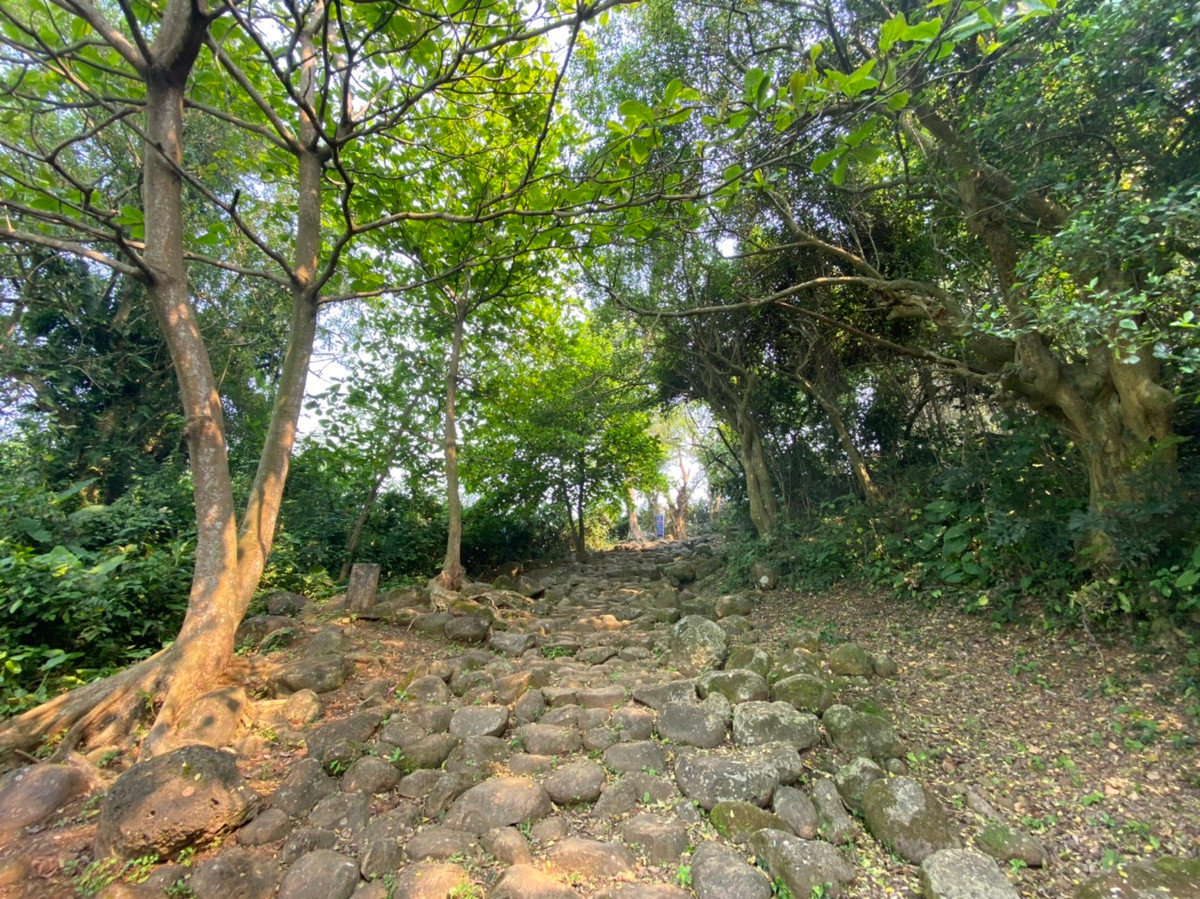 Đường xuống giếng được phủ bóng cây xanh, nền đường được xếp các phiến đá chồng lên nhau. Dù đang là giữa trưa nắng nóng, song về đây cho cảm giác mát lạnh và trong lành rất dễ chịu.