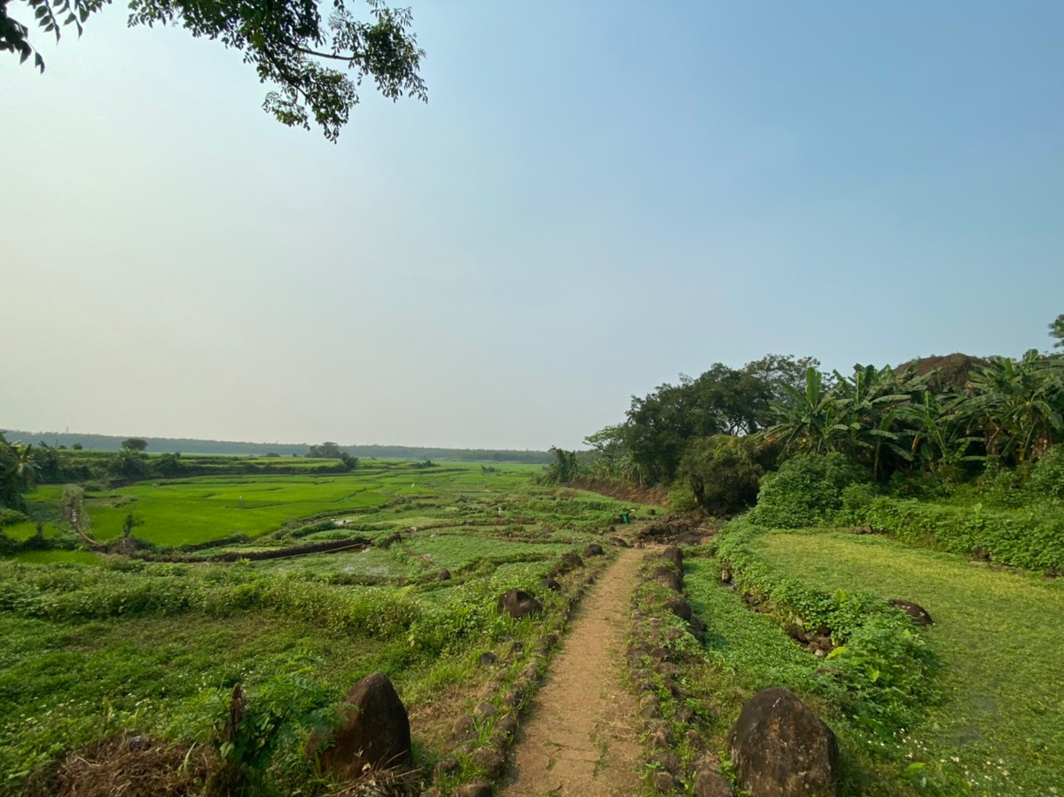 Phía dưới dòng nước giếng cổ Gio An là cánh đồng rau liệt xanh tốt, đem lại giá trị kinh tế khá cao cho người dân nơi đây. Được biết, hệ thống giếng cổ Gio An được phân bố chủ yếu ở các thôn: An Hướng, An Nha, Long Sơn, Hảo Sơn và Tân Văn. Trong số đó có 14 giếng tiêu biểu như: Giếng Côi, giếng Dưới, giếng Búng, giếng Trạng, giếng Đào, giếng Gái 1, giếng Gái 2, giếng Nậy, Giếng Tép, giếng Ông, giếng Bà, giếng Gai, giếng Máng và giếng Pheo... Cấu trúc xây dựng các giếng đều khác nhau. Qua nghiên cứu các nhà khoa học nhận định hệ thống giếng cổ Gio An được người Chăm Pa xây dựng vào thời đại đồ đá khoảng hơn 2000 năm.