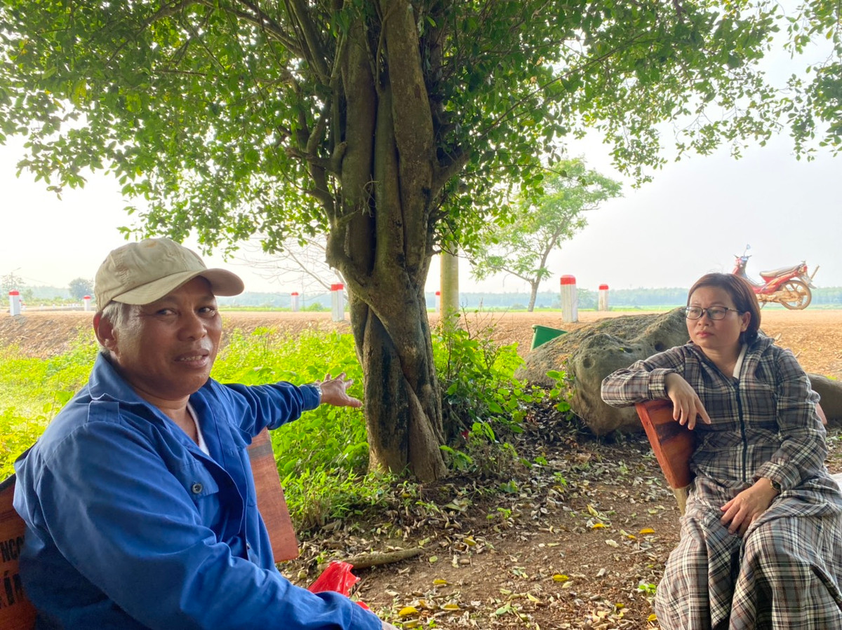 Theo anh Hồ Văn Phúc (thôn An Nha), hệ thống nước giếng cổ ở đây về mùa hè thì mát, mùa đông thì ấm. Ngoài việc cho nguồn nước sinh hoạt, hệ thống giếng cổ Gio An đang đem lại cho người dân nơi đây một thứ đặc sản sạch và ngon có có giá trị kinh tế cao là rau liệt hay còn được gọi là xà lách xoong. Điều đặc biệt rau liệt chỉ sống được ở dòng nước chảy từ giếng cổ Gio An, sống bám nhẹ trên đá, sạch sẽ, nếu vướng bẩn loài rau này sẽ không sống được.