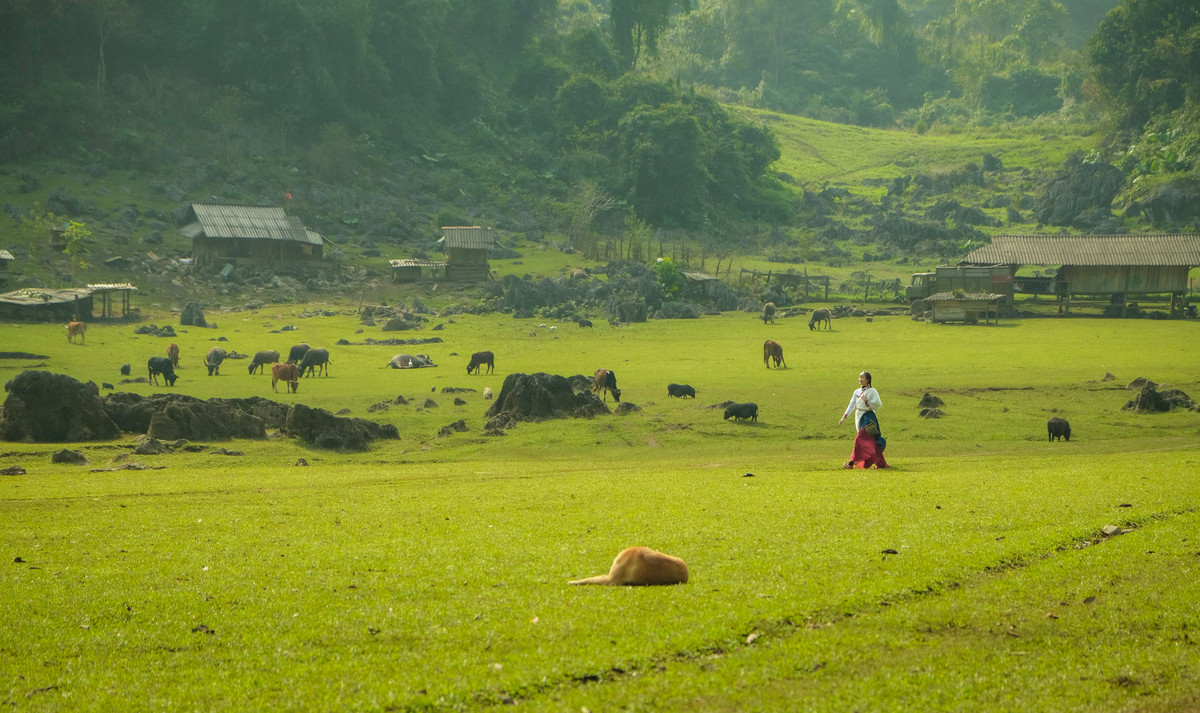 “Bọn mình tới đây vào lúc mà mọi người dân trong bản đã đi làm hết, chỉ có một vài người ngồi bên hiên nhà dệt vải, quanh quẩn với đàn lợn, gà, trâu... Một sự bình yên đến mức thổn thức. Mình cùng bạn trai đi dạo quanh đồng cỏ, trò chuyện với vài người bản địa, họ rất mến khách”, Phùng Hiền nhớ lại.