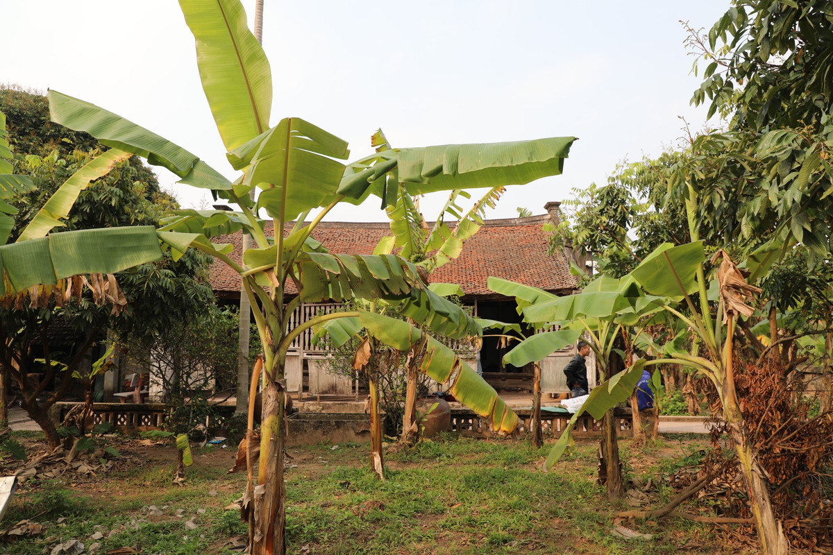 Cứ hình dung về nhà của một chánh tổng oai phong của làng Vũ Đại thì bất ngờ đầu tiên sẽ là: Sao trông ngôi nhà lại bé nhỏ và đơn giản đến vậy. Cũng chỉ là nhà ba gian, mái ngói, vách gỗ đã bạc màu với thời gian...