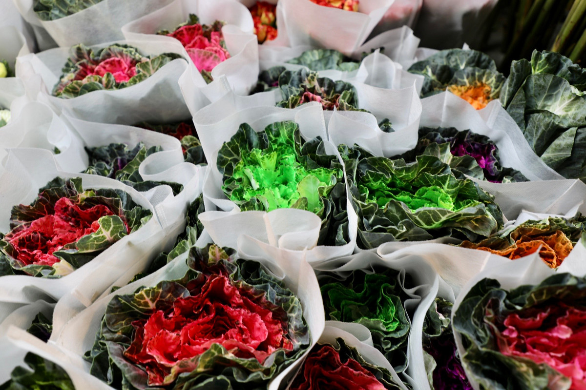 Đa dạng các loại hoa phục vụ nhu cầu của người dân dịp 8/3.