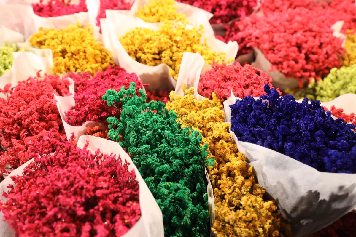 Hoa sao có giá 60.00 đồng/bó.