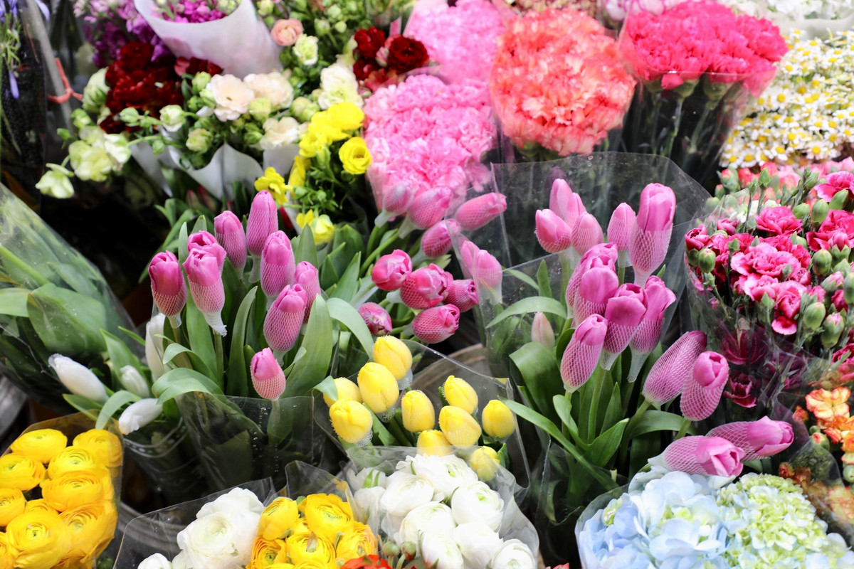 Hoa tulip có giá 350.000 đồng/bó.