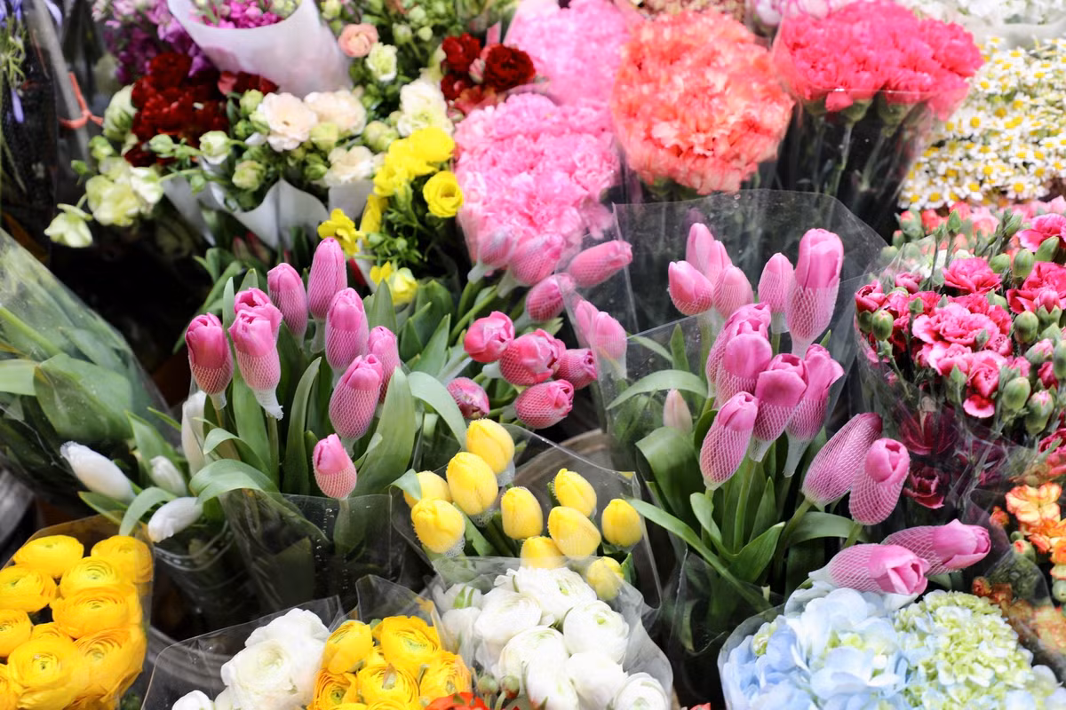 Hoa tulip có giá 350.000 đồng/bó.