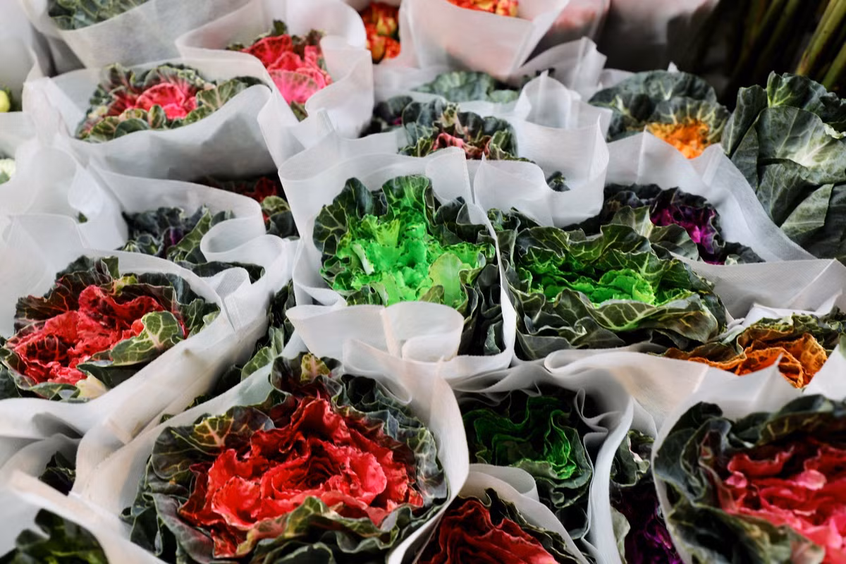 Đa dạng các loại hoa phục vụ nhu cầu của người dân dịp 8/3.