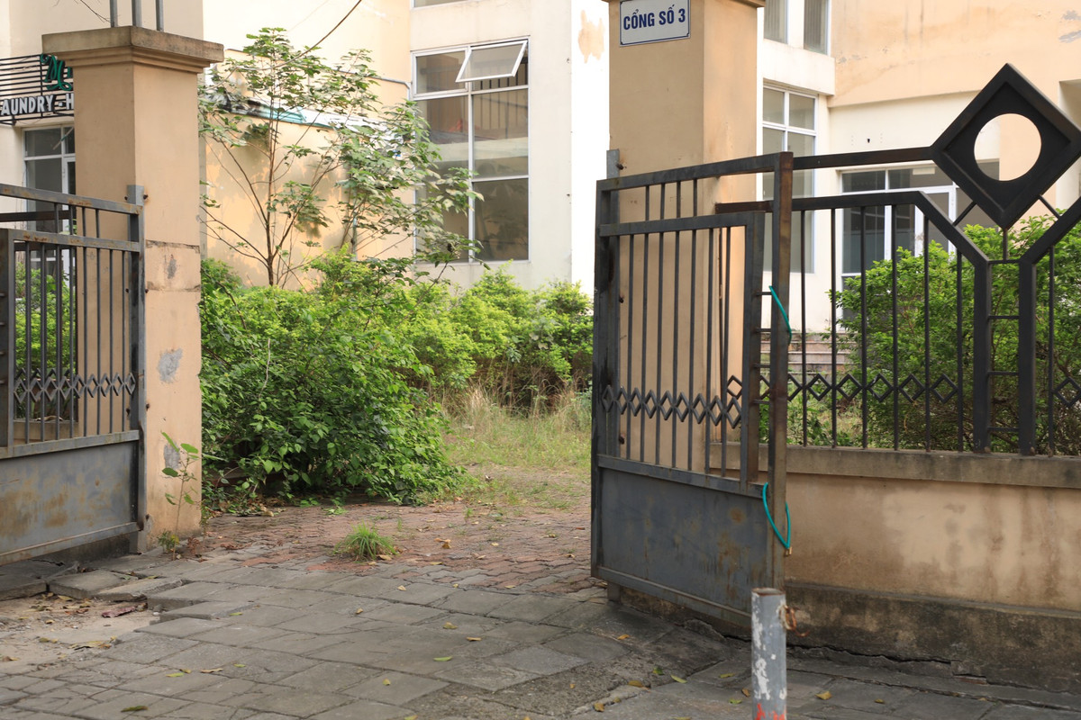 Xung quanh toà nhà cỏ cây um tùm, mọc cao hơn đầu người.