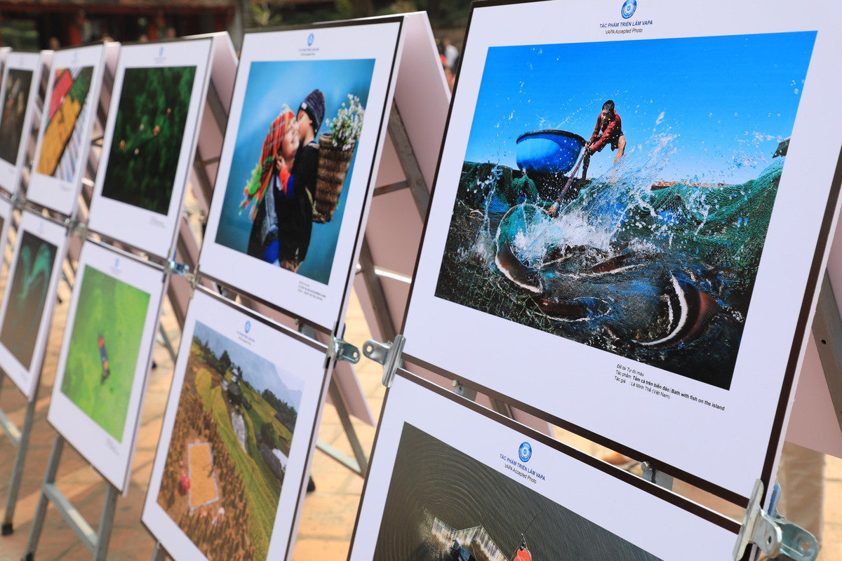 Trao giai va khai mac Trien lam Anh nghe thuat quoc te lan thu 12-Hinh-7