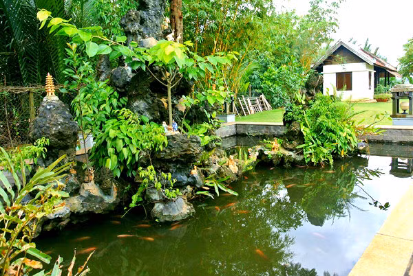 Những hồ nước thả cá với hòn non bộ được bố trí ở sát căn nhà chính, nơi gia đình Thu Hương sinh hoạt. Ảnh: kenhsao.net.