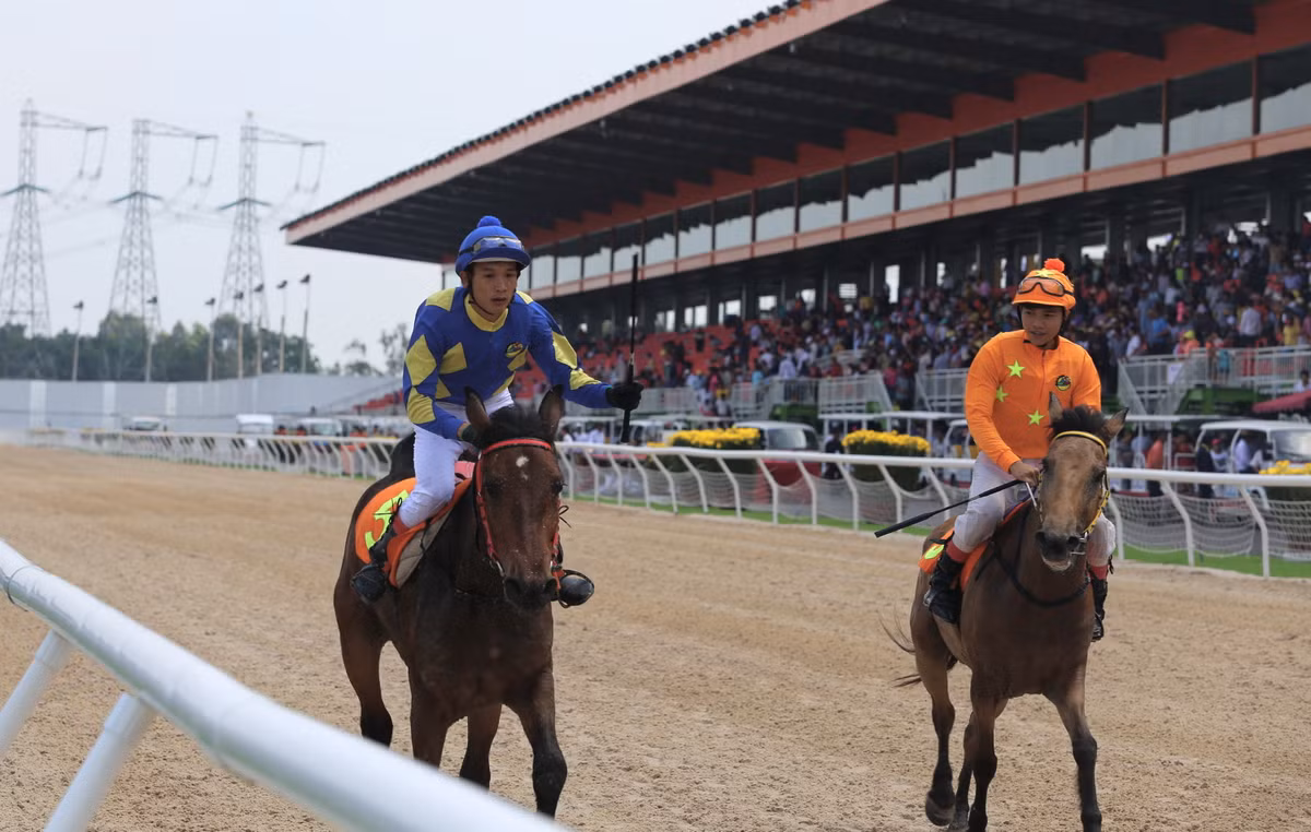 Nhung du an truong dua ngua trieu do tai Viet Nam-Hinh-2