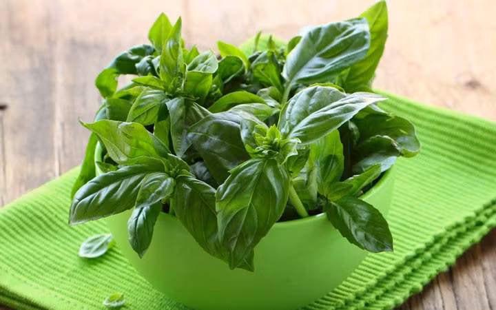 Húng tây: Húng tây là loại rau thơm ngon và có nhiều đặc tính chữa bệnh. Nó giàu chất chống oxy hóa, đặc tính kháng khuẩn hơn nữa giàu vitamin K, canxi, sắt, magie, các vitamin ... có tác dụng điều trị đau bụng, tiêu chảy, viêm khớp, đau họng và nhiều bệnh khác.