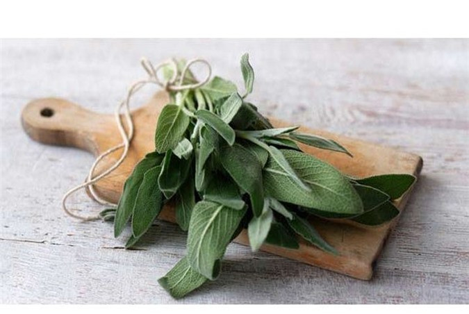 Xô thơm: Xô thơm được sử dụng trong các món ăn như thịt lợn, đậu, khoai tây, phô mai và sốt bơ nâu. Loại thảo mộc này là nguồn cung cấp chất xơ, canxi, magiê, sắt, mangan và vitamin B, C, E và đồng.