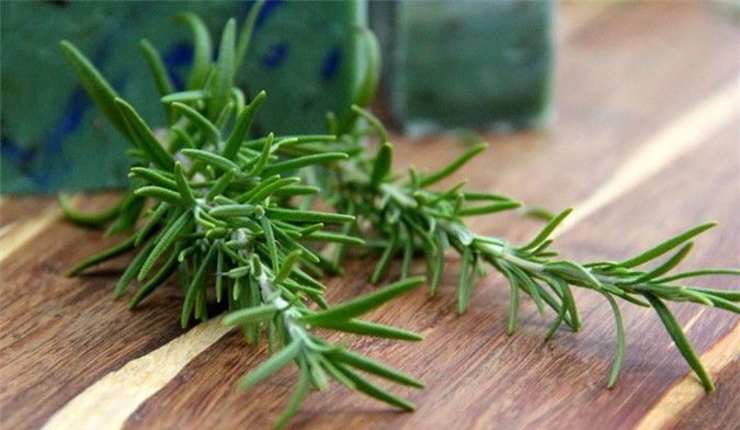 Hương thảo: Hương thảo có vị đắng nhẹ rất quyến rũ. Mùi của cây hương thảo có thể át mùi tanh của thịt cá, tạo thêm vị đặc biệt khi làm các món nướng như pizza, gà nướng, tôm nướng. Bên cạnh nấu nướng, cây hương thảo giúp đuổi muỗi hiệu quả, mùi của loại cây này cũng giúp con người tư duy và ghi nhớ tốt hơn.